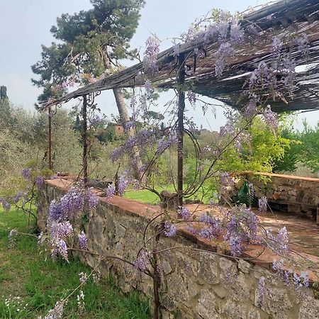 Bed and Breakfast Casa Ezio Marchi Bettolle Exteriér fotografie