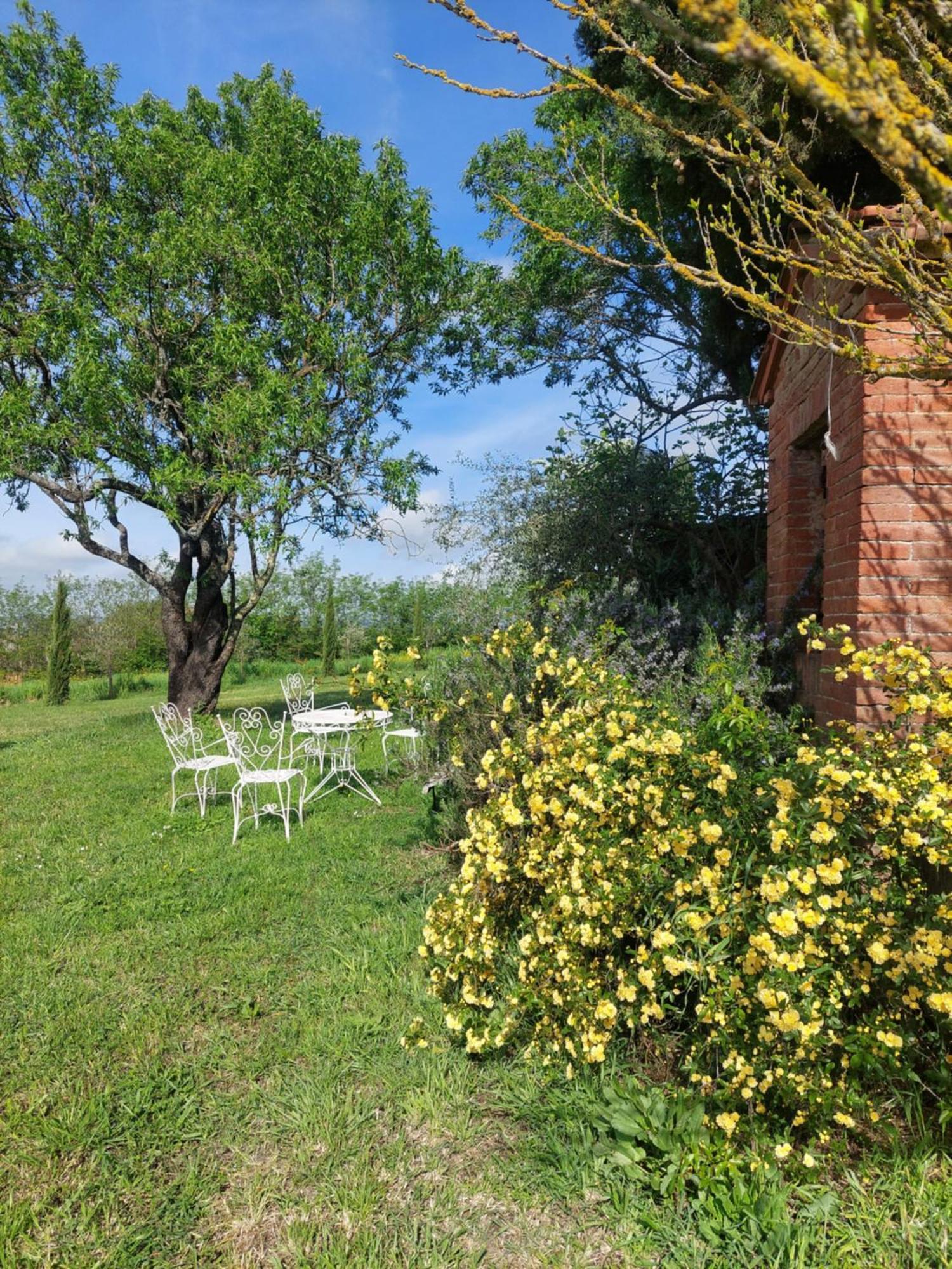 Bed and Breakfast Casa Ezio Marchi Bettolle Exteriér fotografie