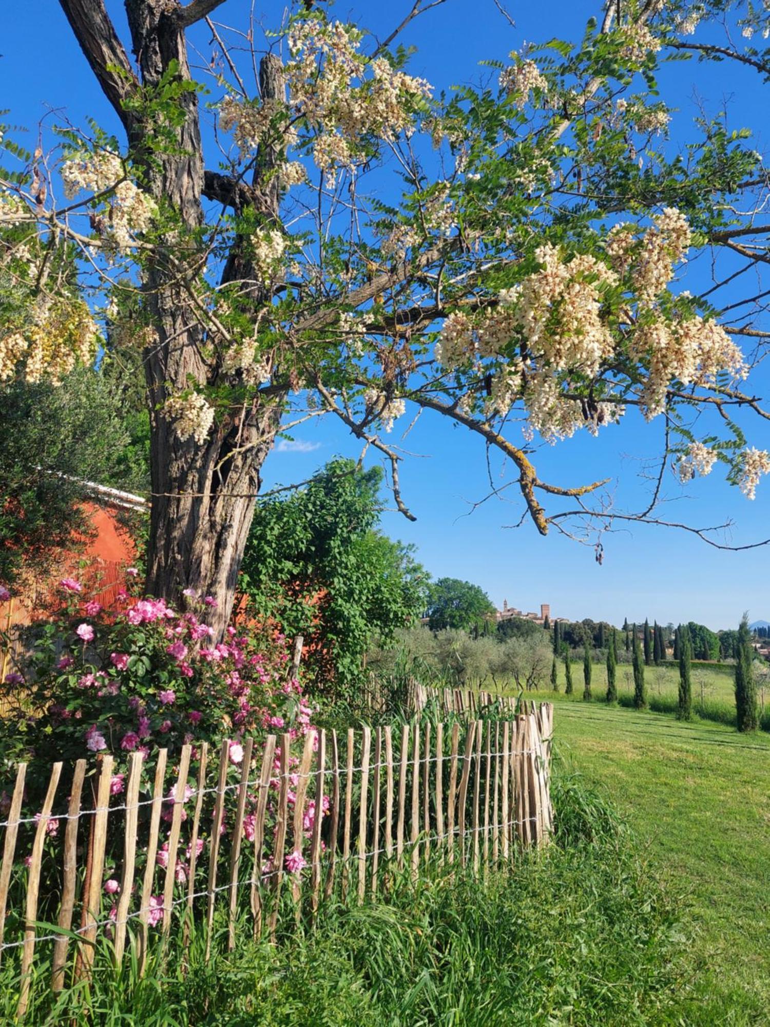 Bed and Breakfast Casa Ezio Marchi Bettolle Exteriér fotografie